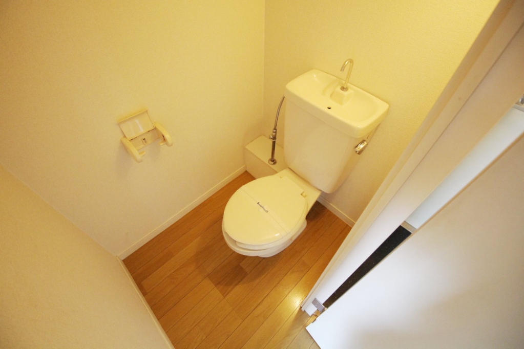 その他　セパレートタイプの水洗トイレです。