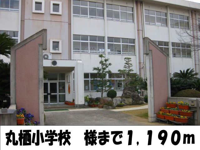 小学校　丸栖小学校様（小学校）まで1190m