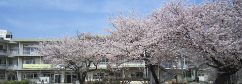 小学校　緑ヶ丘小学校（小学校）まで913m