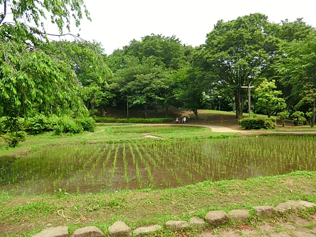 公園　次大夫堀公園・民家園（公園）まで850m