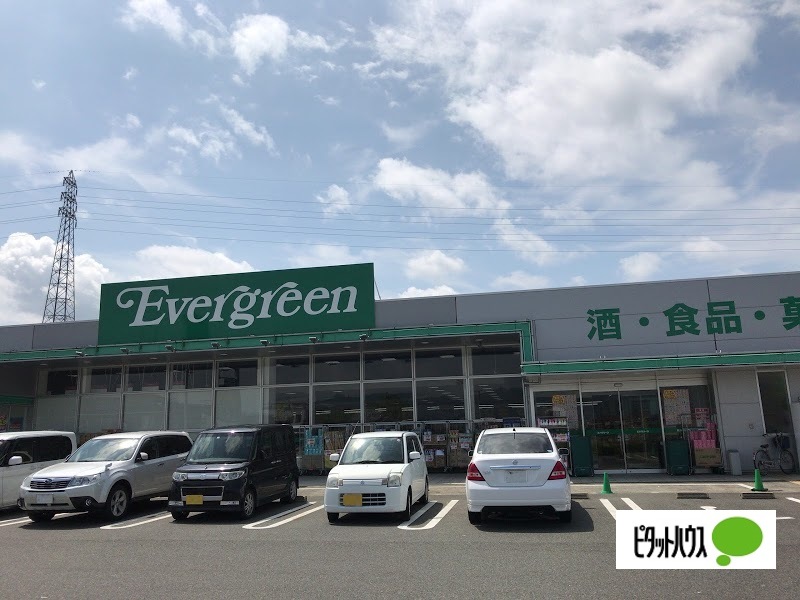 ドラックストア　エバグリーン和佐店（ドラッグストア）まで972m