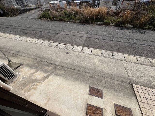 庭
