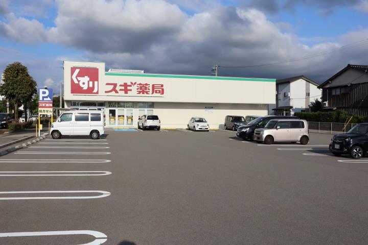 ドラックストア　スギ薬局久安店（ドラッグストア）まで1010m