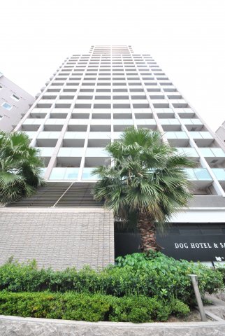 建物外観　エグゼレジデンスタワー　外観