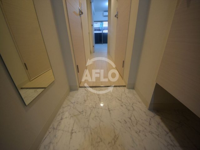 玄関　ワールドアイ難波南ミラージュ　玄関