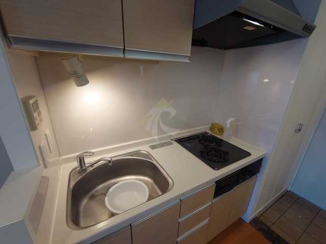 キッチン　プライムアーバン池袋（別階参考写真）