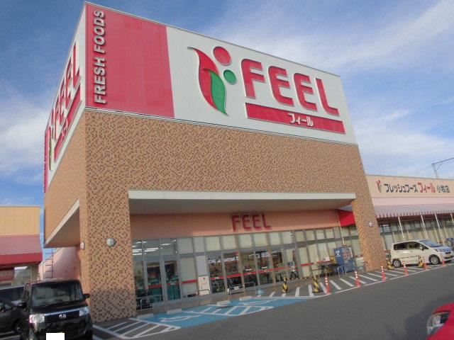 スーパー　ＦＥＥＬ（スーパー）まで600m