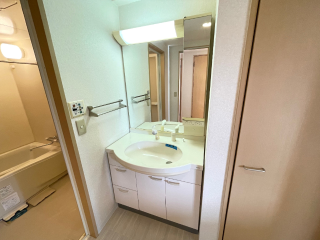 洗面設備　大きめの独立洗面台付きです