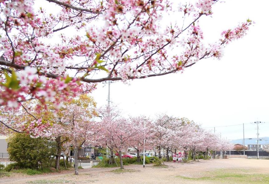 公園　高木公園（公園）まで255m