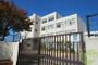 小学校　神戸市立白川小学校（小学校）まで300m