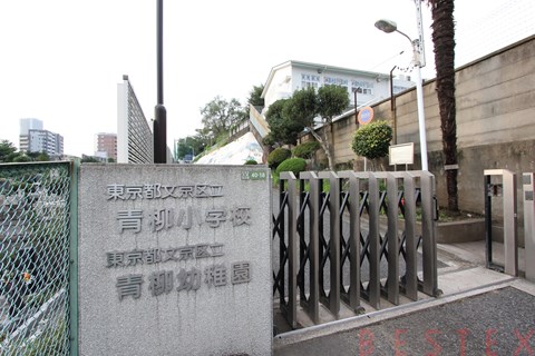 小学校　文京区立青柳小学校（小学校）まで551m