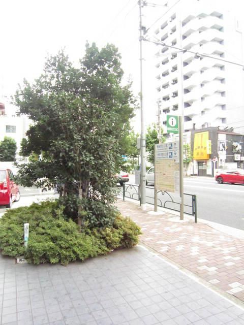 庭　植栽