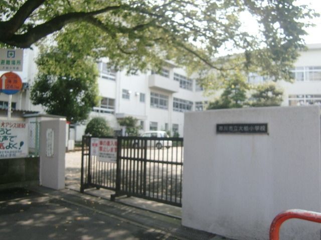小学校　大柏小学校（小学校）まで533m