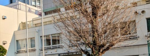 小学校　渋谷区立常磐松小学校（小学校）まで595m