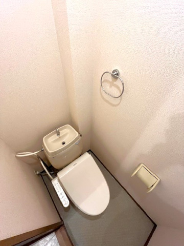 トイレ　※他号室の写真です。