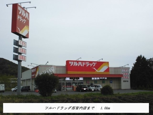 ドラックストア　ツルハドラッグ沼宮内店（ドラッグストア）まで1000m