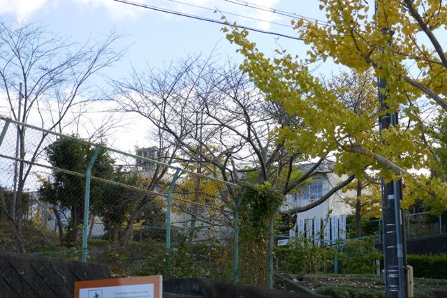 小学校　磐田市立向笠小学校（小学校）まで1495m