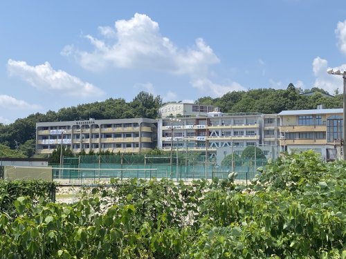 高校・高専　多治見西高校（高校・高専）まで3078m