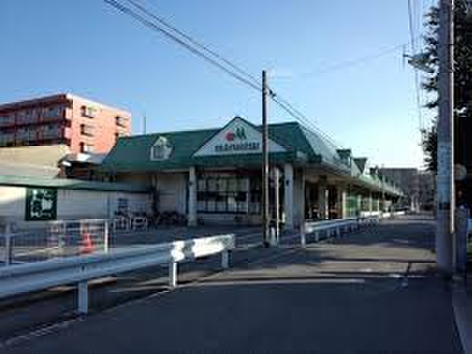 スーパー　マルエツ 朝日町店（スーパー）まで500m