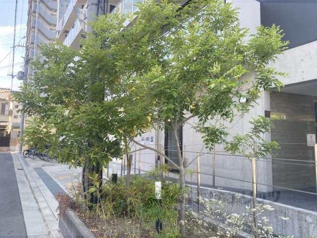 その他共有部分　植栽