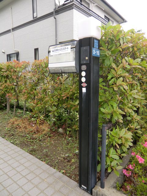庭