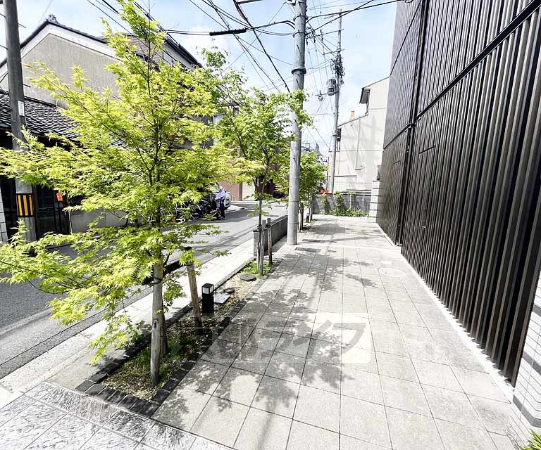 庭