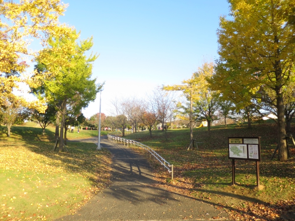 公園　千葉東南部第３公園（公園）まで447m