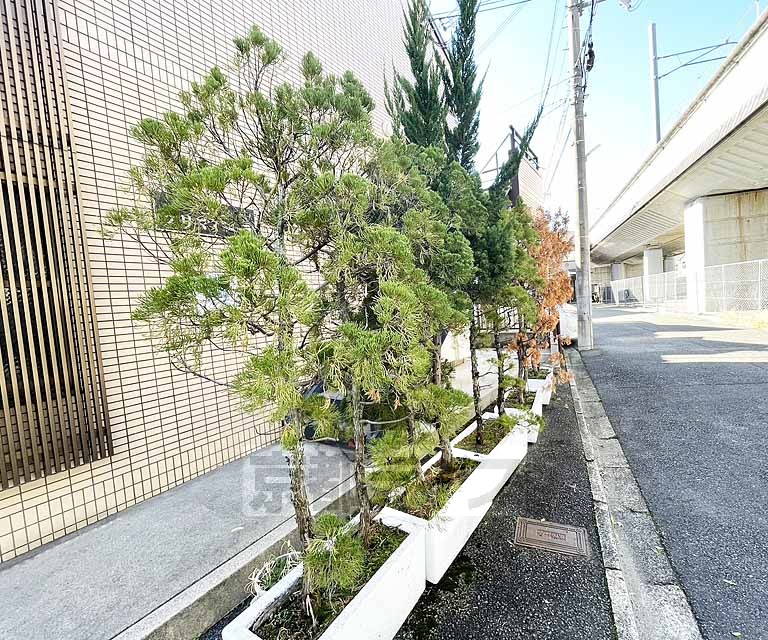 庭