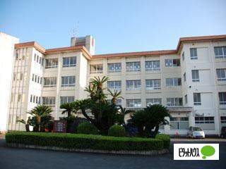 小学校　藤枝市立高洲小学校（小学校）まで705m
