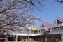 幼稚園・保育園　葛飾幼稚園（幼稚園・保育園）まで312m