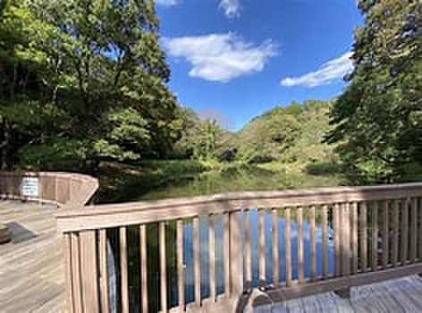 公園　谷戸山公園（公園）まで350m