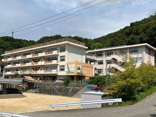 小学校　津島小学校（小学校）まで438m