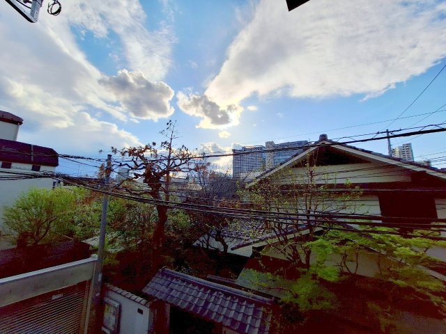 眺望