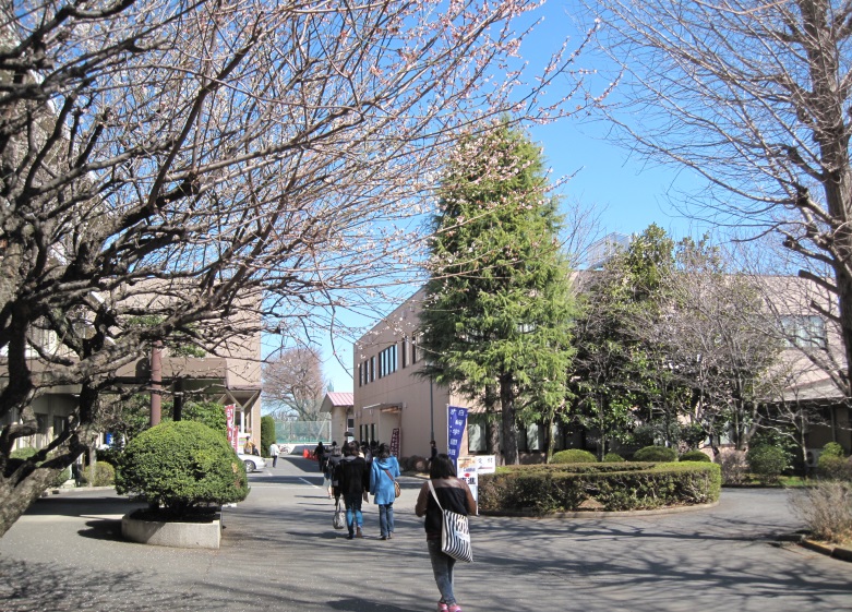 大学・短大　私立白梅学園大学（大学・短大）まで1267m