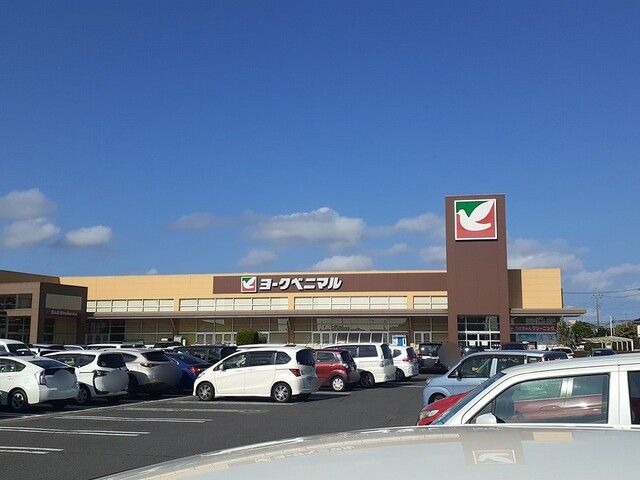スーパー　ヨークベニマル　赤塚店（スーパー）まで1100m