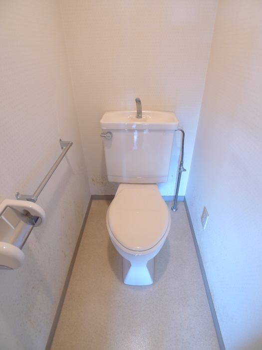 カネナカ第一ビルのトイレ写真