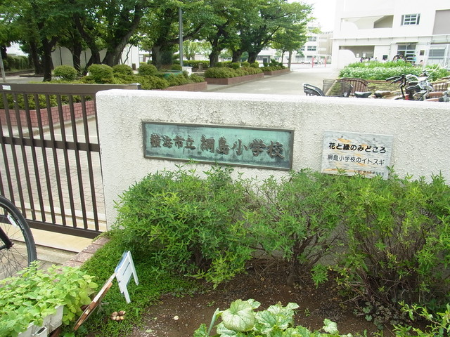 小学校　横浜市立綱島小学校（小学校）まで260m