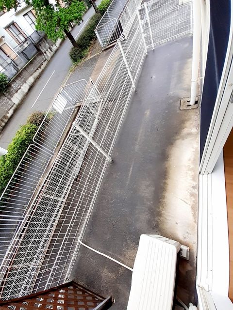 庭
