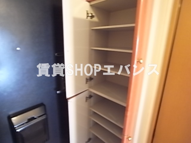 プリモディーネのその他写真