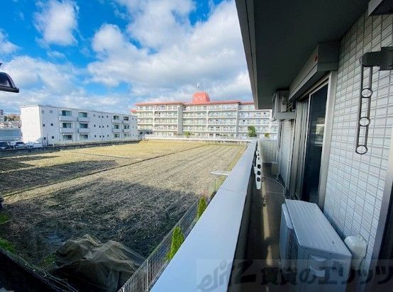 Y s squareのその他写真