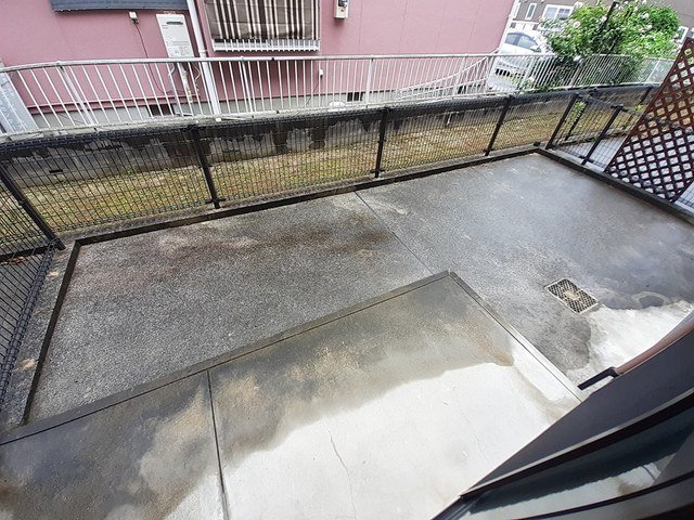 庭