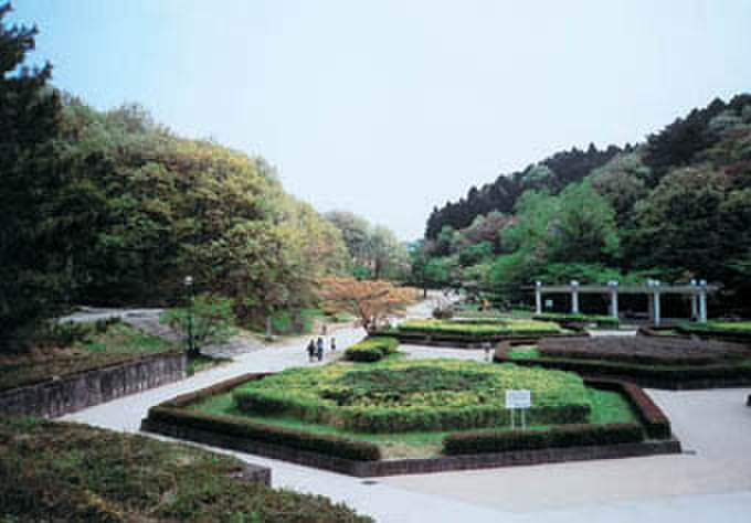 公園　台原森林公園（公園）まで600m