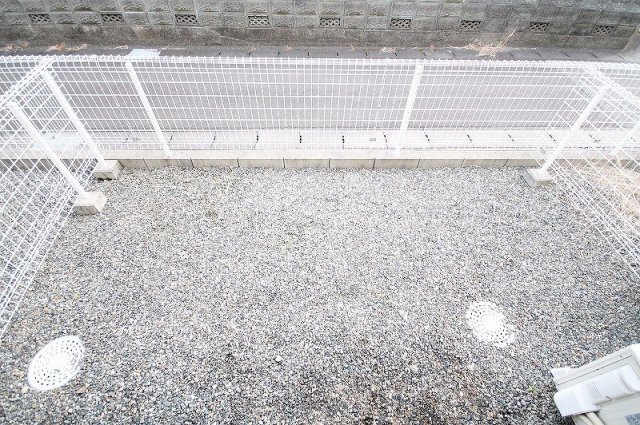Primaveraのその他写真