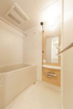 バス・シャワールーム　別部屋参考写真