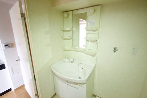 洗面設備　※別号室の写真です