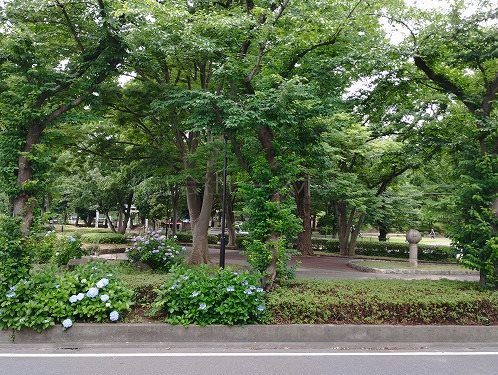 眺望　※別号室参考写真