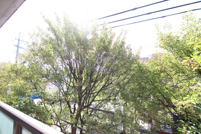 眺望　別室の参考写真です。※現況優先