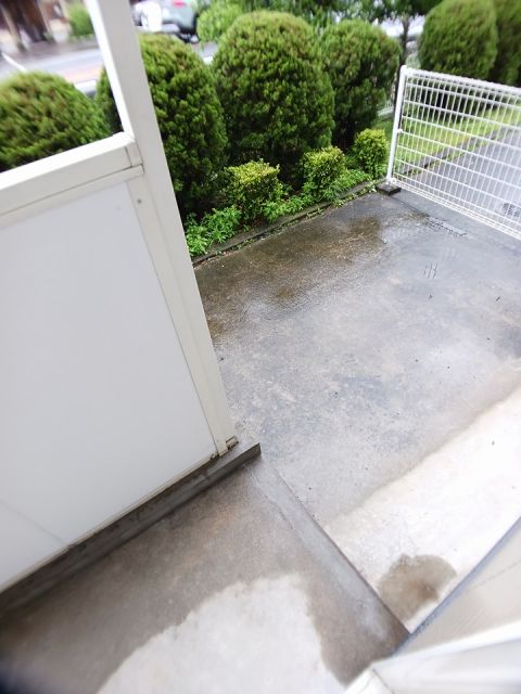 庭