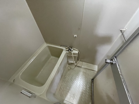 バス・シャワールーム　※別部屋の写真です