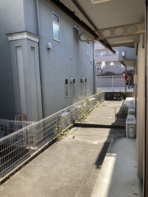 庭